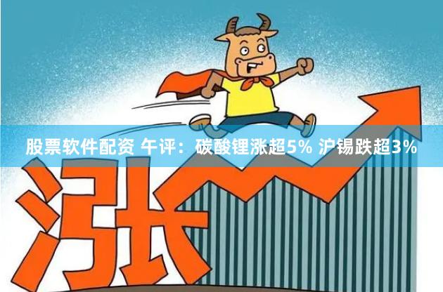 股票软件配资 午评：碳酸锂涨超5% 沪锡跌超3%