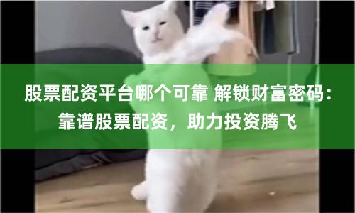 股票配资平台哪个可靠 解锁财富密码：靠谱股票配资，助力投资腾飞